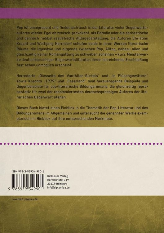 Produktbild: Der Bildungsroman im Zeitalter der Pop-Literatur. Christian Kracht und Wolfgang Herrndorf