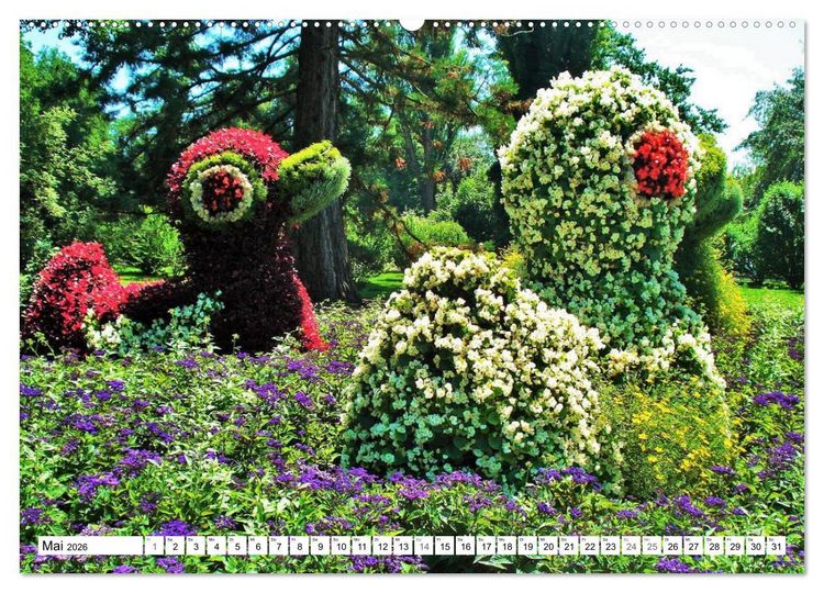 Produktbild: Am Bodenseeufer (Wandkalender 2026 DIN A2 quer), CALVENDO Monatskalender