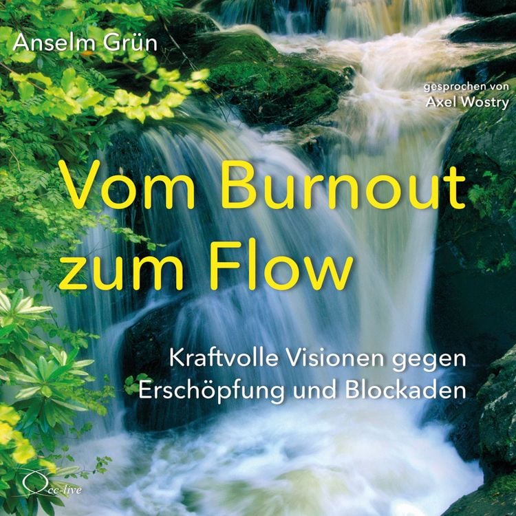 Bild vom Artikel Vom Burnout zum Flow vom Autor Anselm Grün