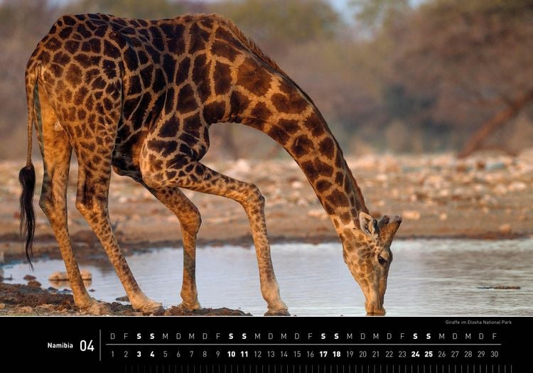Produktbild: Namibia Premiumkalender 2027