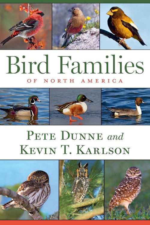 Produktbild: Bird Families of North America