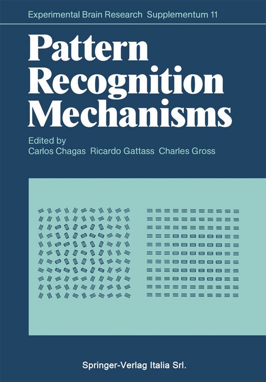Produktbild: Pattern Recognition Mechanisms