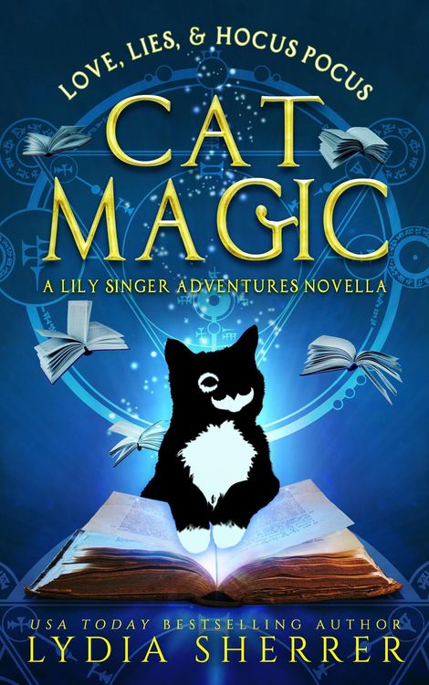 Produktbild: Love, Lies, and Hocus Pocus Cat Magic (The Lily Singer Adventures Novellas, #2)