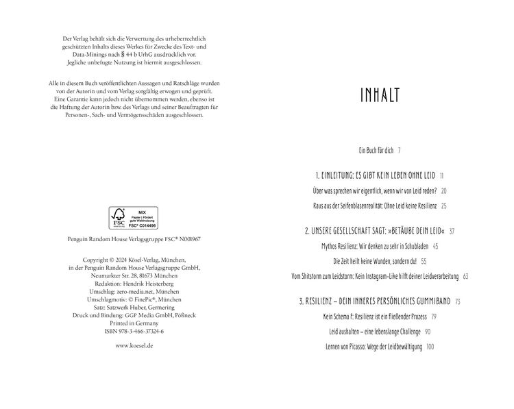 Produktbild: Leid &ndash; Die emotionalen Wellen des Lebens