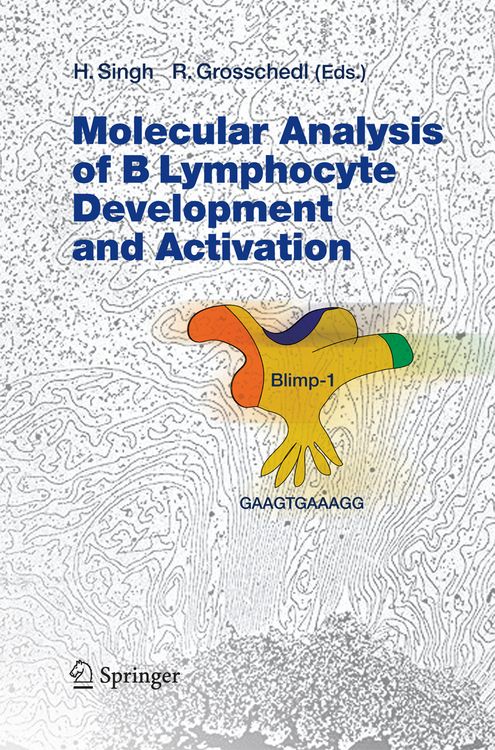 Produktbild: Molecular Analysis of B Lymphocyte Development and Activation