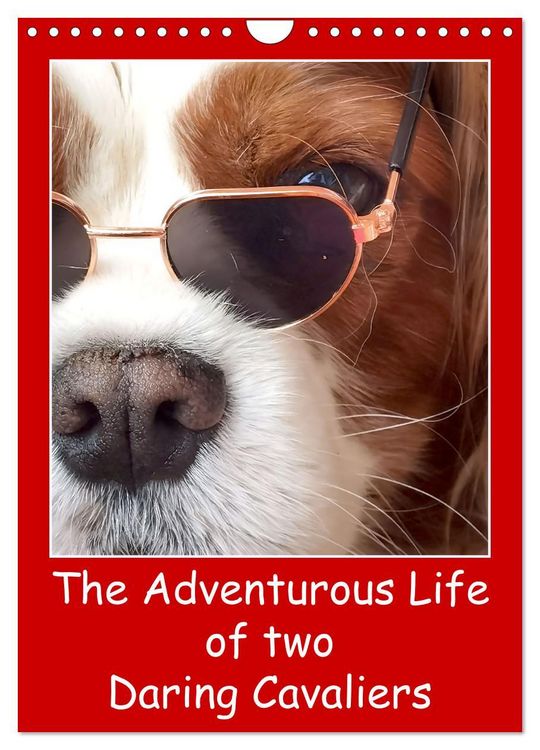 Produktbild: The Adventurous Life of two Daring Cavaliers (Wall Calendar 2026 DIN A4 portrait), CALVENDO 12 Month Wall Calendar