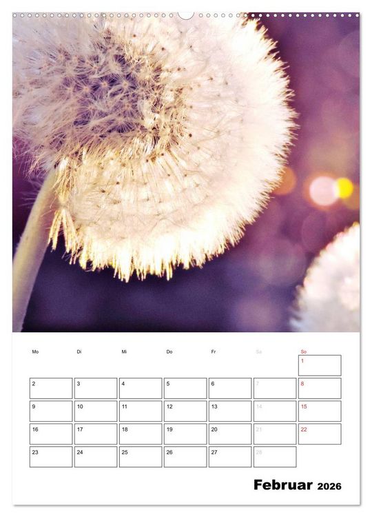 Produktbild: Pusteblumentraum - Dreams of Dandelion (hochwertiger Premium Wandkalender 2026 DIN A2 hoch), Kunstdruck in Hochglanz