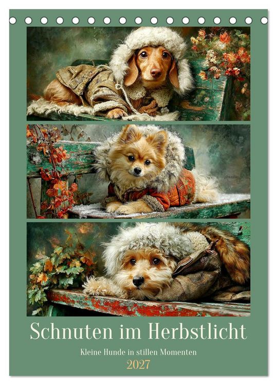 Produktbild: Schnuten im Herbstlicht. Kleine Hunde in stillen Momenten (Tischkalender 2027 DIN A5 hoch), CALVENDO Monatskalender