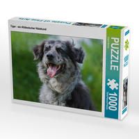Produktbild: CALVENDO Puzzle Tiger - ein Altdeutscher H&uuml;tehund | 1000 Teile Lege-Gr&ouml;&szlig;e 64x48cm Foto-Puzzle f&uuml;r gl&uuml;ckliche Stunden