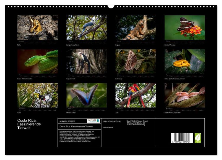 Produktbild: Costa Rica. Faszinierende Tierwelt (hochwertiger Premium Wandkalender 2026 DIN A2 quer), Kunstdruck in Hochglanz