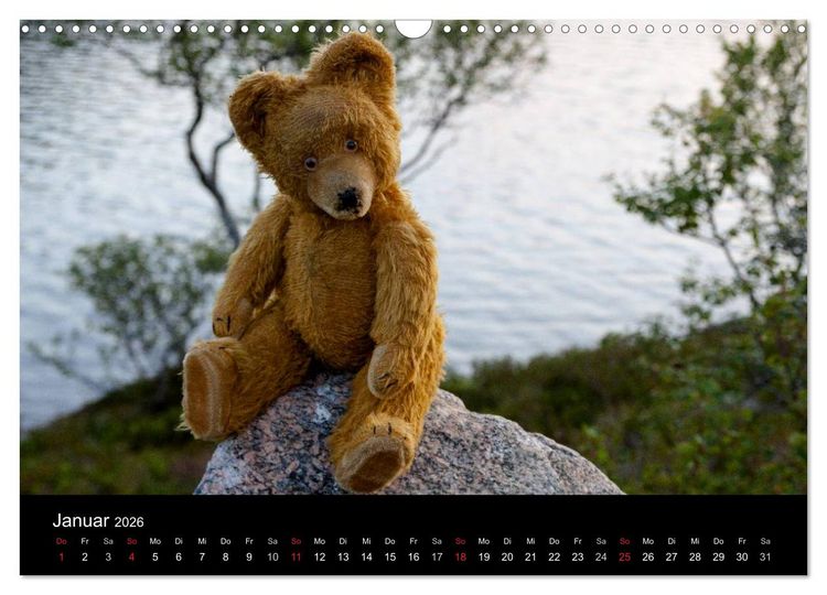 Produktbild: Teddy Basse, Fortsetzung... (Wandkalender 2026 DIN A3 quer), CALVENDO Monatskalender