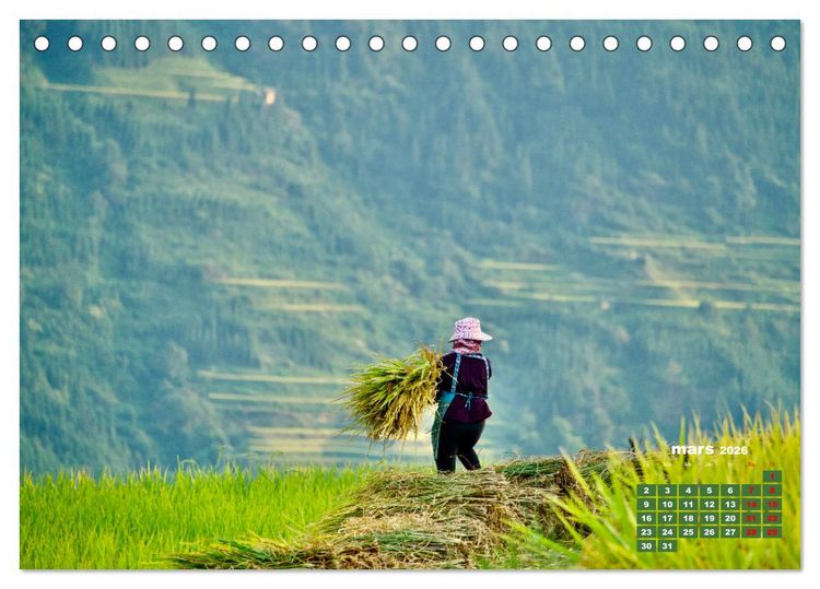Produktbild: Riz de Chine (Calendrier de bureau 2026 DIN A5 vertical), CALVENDO calendrier mensuel