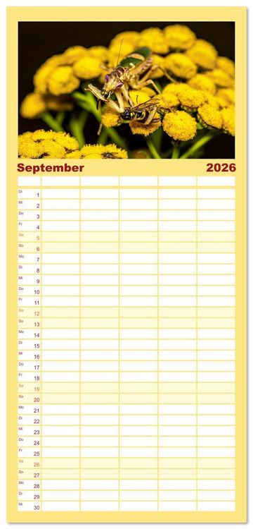 Produktbild: Familienplaner 2026 - Im Bann der Mantis mit 5 Spalten (Wandkalender, 21 x 45 cm) CALVENDO