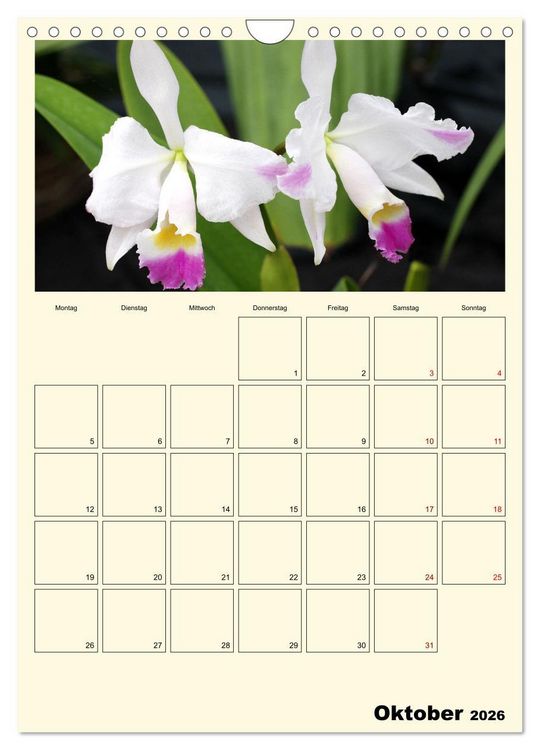 Produktbild: Orchideentr&auml;ume (Wandkalender 2026 DIN A4 hoch), CALVENDO Monatskalender