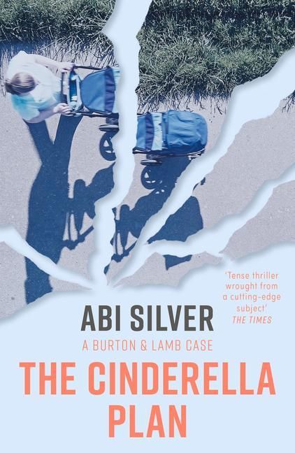 Produktbild: The Cinderella Plan