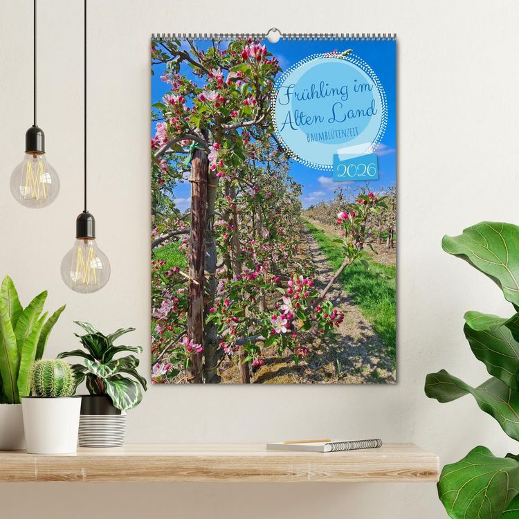 Produktbild: Fr&uuml;hling im Alten Land - Baumbl&uuml;tenzeit (Wandkalender 2026 DIN A2 hoch), CALVENDO Monatskalender