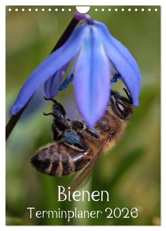 Produktbild: Bienen-Terminplaner 2026 (Wandkalender 2026 DIN A4 hoch), CALVENDO Monatskalender