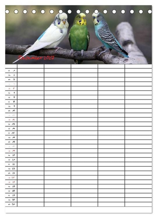 Produktbild: Wellensittiche (Tischkalender 2027 DIN A5 hoch), CALVENDO Monatskalender