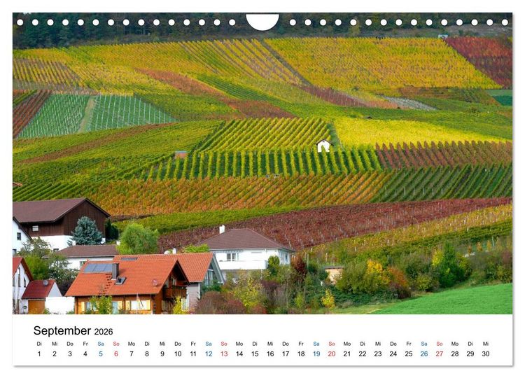 Produktbild: W&uuml;rttemberger Wein 2026 (Wandkalender 2026 DIN A4 quer), CALVENDO Monatskalender