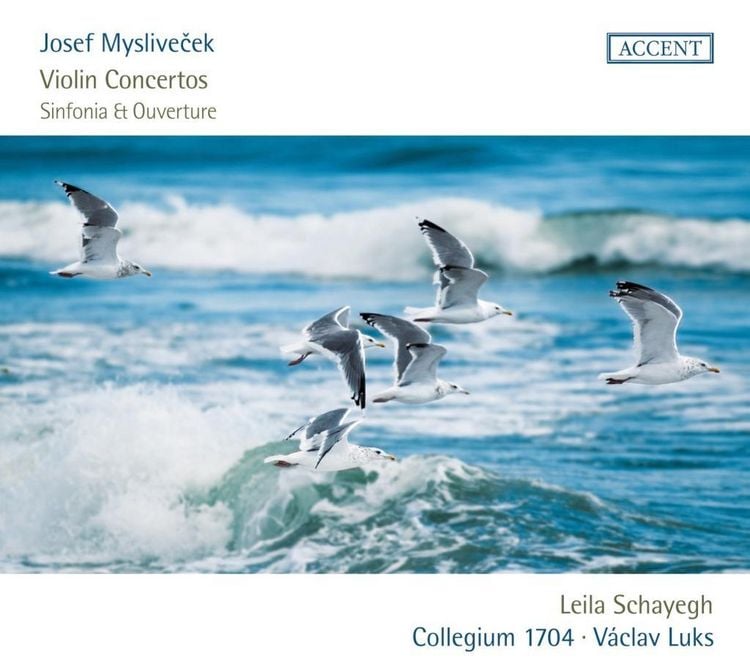 Produktbild: Concertos with Flute
