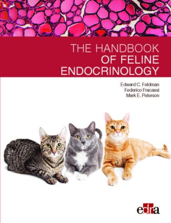 Produktbild: Feline endocrinology