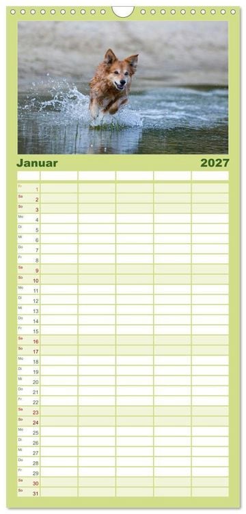 Produktbild: Familienplaner 2027 - Hunde Action mit 5 Spalten (Wandkalender, 21 x 45 cm) CALVENDO