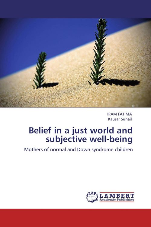 Produktbild: Belief in a just world and subjective well-being