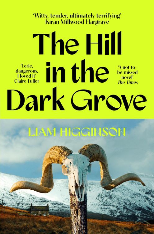 Produktbild: The Hill in the Dark Grove