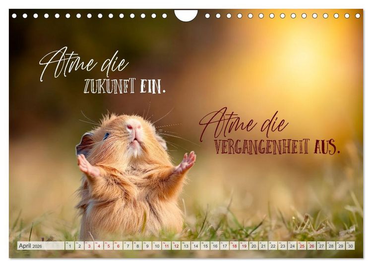 Produktbild: SEELENZEIT Ein Jahr voller Achtsamkeit (Wandkalender 2026 DIN A4 quer), CALVENDO Monatskalender