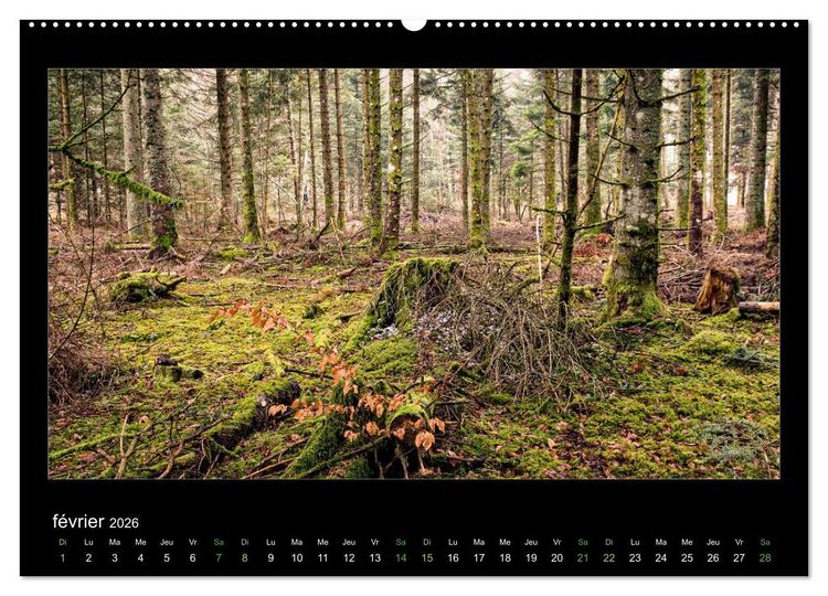 Produktbild: L'Auvergne est belle (Calendrier mural 2026 DIN A2 vertical) calendrier de bureau