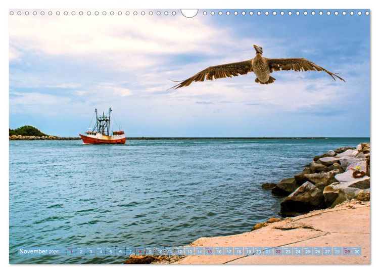 Produktbild: Florida &ndash; sunny beaches and mysterious swamps (Wall Calendar 2026 DIN A3 landscape), CALVENDO 12 Month Wall Calendar