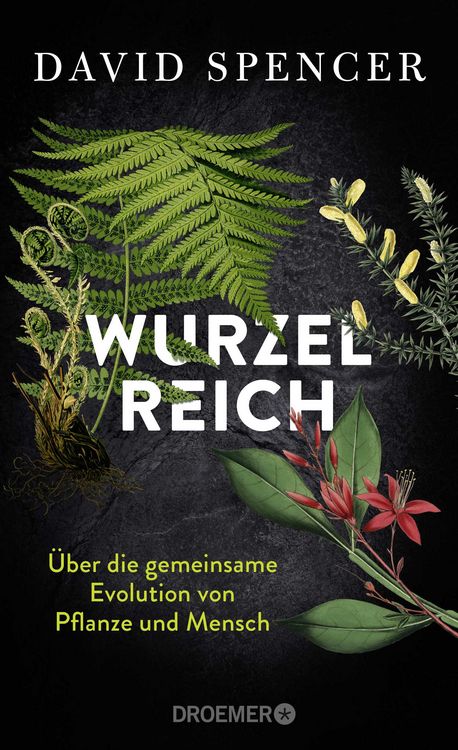Produktbild: Wurzelreich