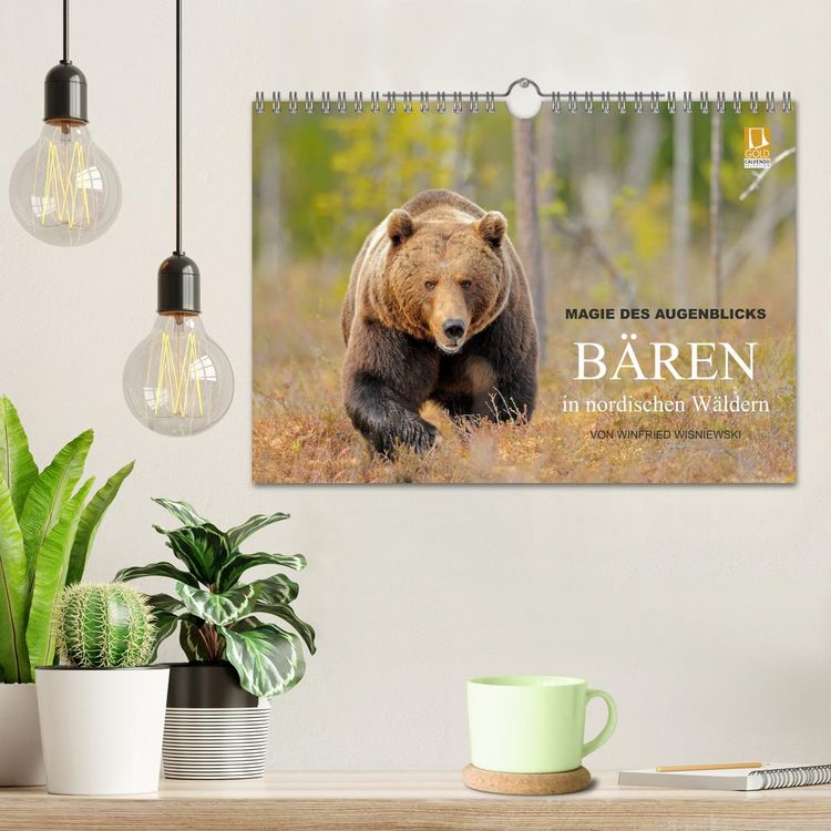 Produktbild: Magie des Augenblicks - B&auml;ren in nordischen W&auml;ldern (Wandkalender 2026 DIN A4 quer), CALVENDO Monatskalender