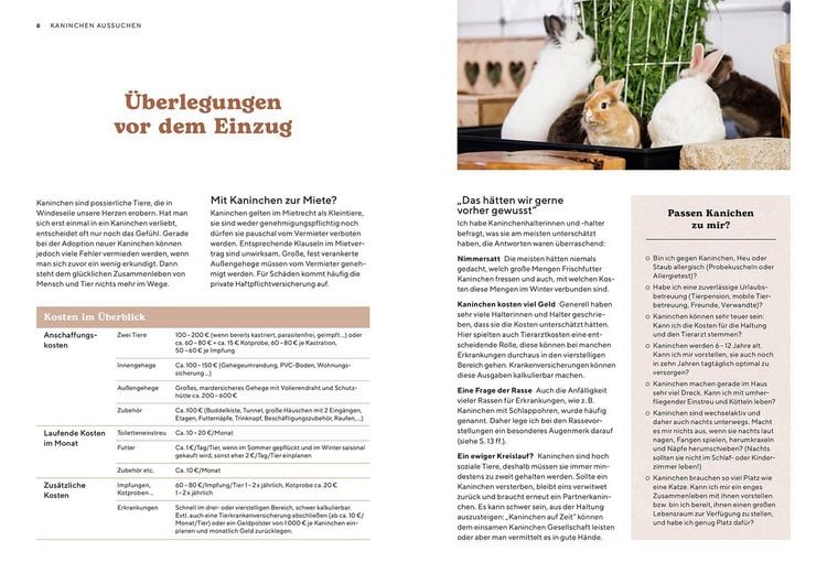 Produktbild: Zwergkaninchen