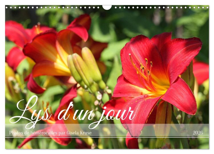 Produktbild: Lys d'un jour (Calendrier mural 2026 DIN A3 vertical), CALVENDO calendrier mensuel