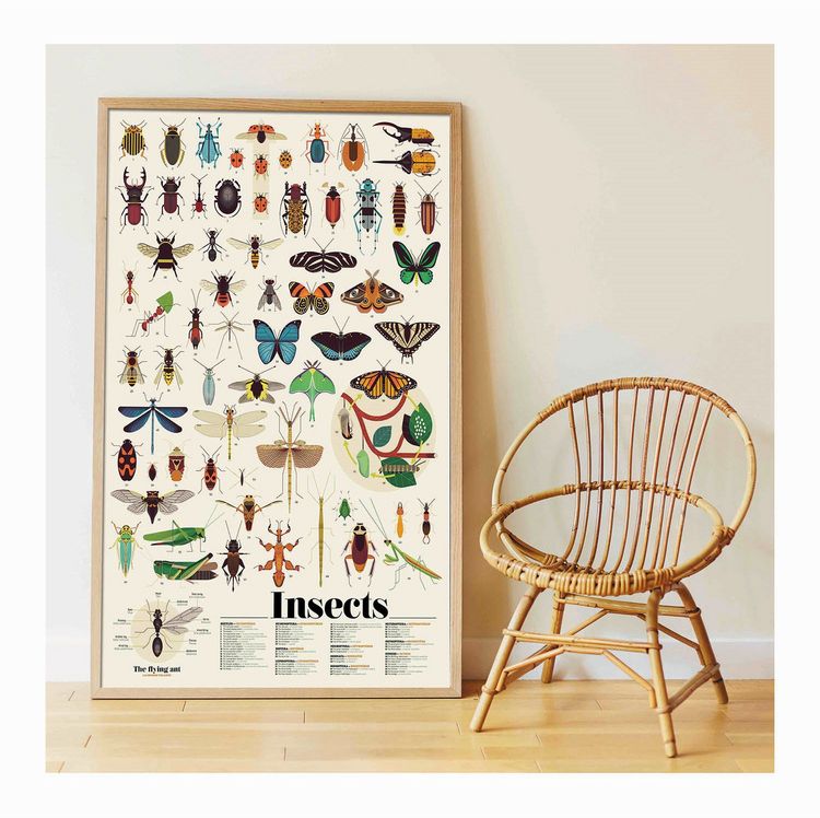 Produktbild: POPPIK - Lernposter & Sticker Insekten