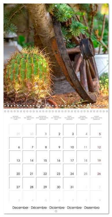 Produktbild: Harriette`s sweet garden (Wall Calendar 2027 12 &times; 12 Inch) CALVENDO 12 Month Wall Calendar