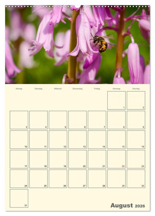 Produktbild: Bienen im Naturgarten (Wandkalender 2026 DIN A2 hoch), CALVENDO Monatskalender