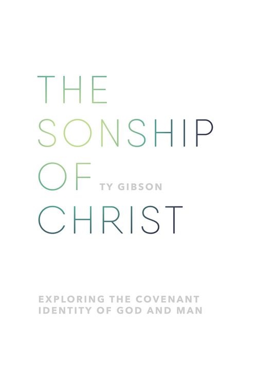 Produktbild: The sonship of Christ