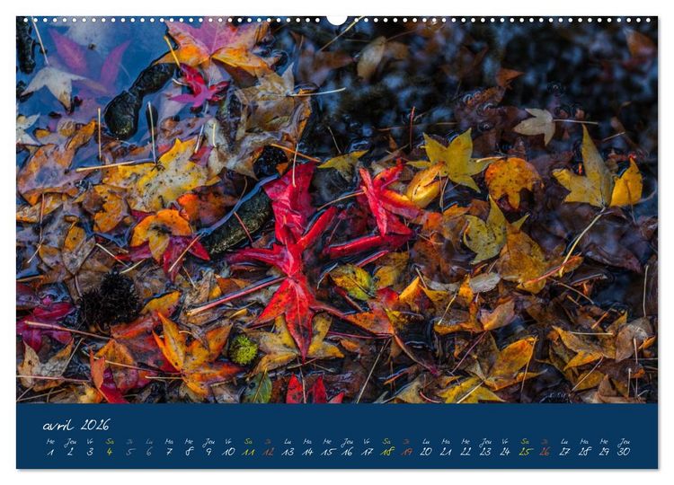 Produktbild: Un automne au Bois (Calendrier mural 2026 DIN A2 vertical) calendrier de bureau