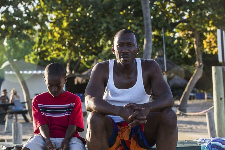 Produktbild: Moonlight
