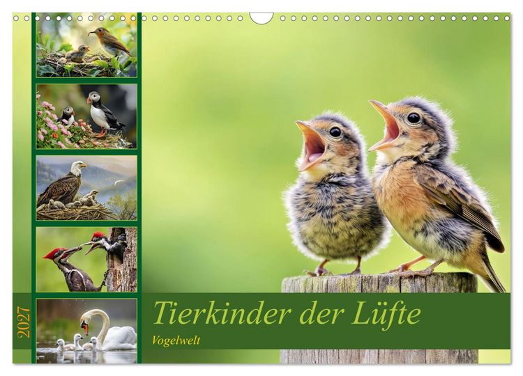 Produktbild: Tierkinder der L&uuml;fte - Vogelwelt (Wandkalender 2027 DIN A3 quer), CALVENDO Monatskalender