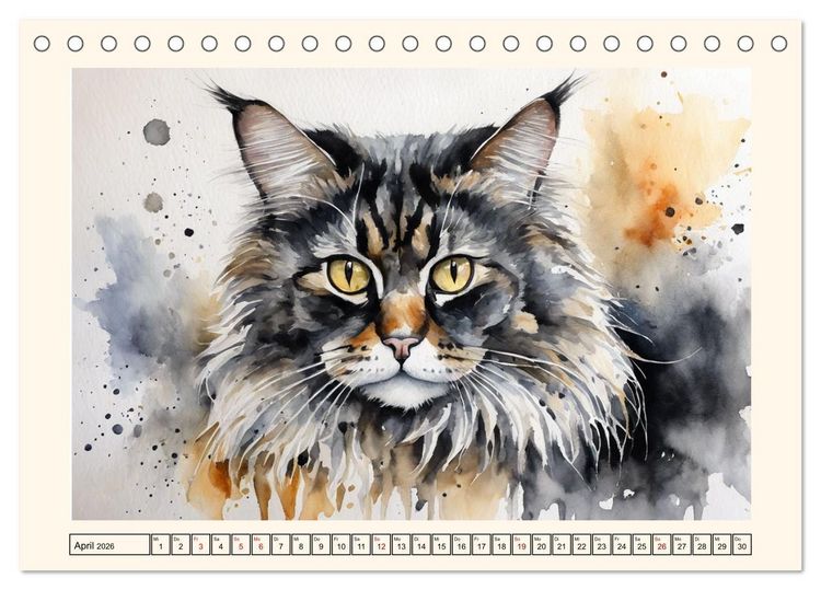 Produktbild: Samtpfoten im Portrait (Tischkalender 2026 DIN A5 quer), CALVENDO Monatskalender