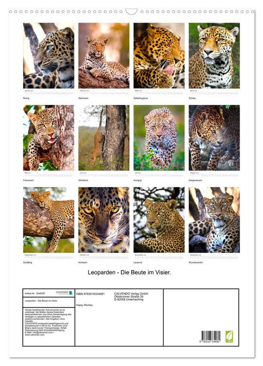 Produktbild: Leoparden - Die Beute im Visier. (Wandkalender 2026 DIN A2 hoch), CALVENDO Monatskalender