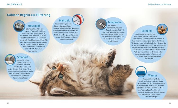 Katzen gesund ernhren" online kaufen