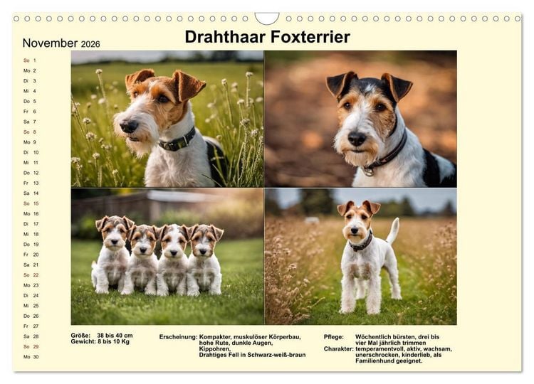 Produktbild: Terrier-Rassen im Portrait (Wandkalender 2026 DIN A3 quer), CALVENDO Monatskalender