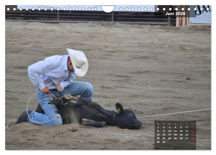 Produktbild: Faszination Rodeo (Wandkalender 2026 DIN A4 quer), CALVENDO Monatskalender