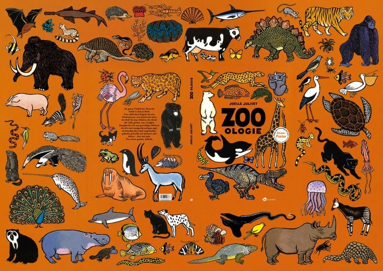 Produktbild: Zoo-ologie