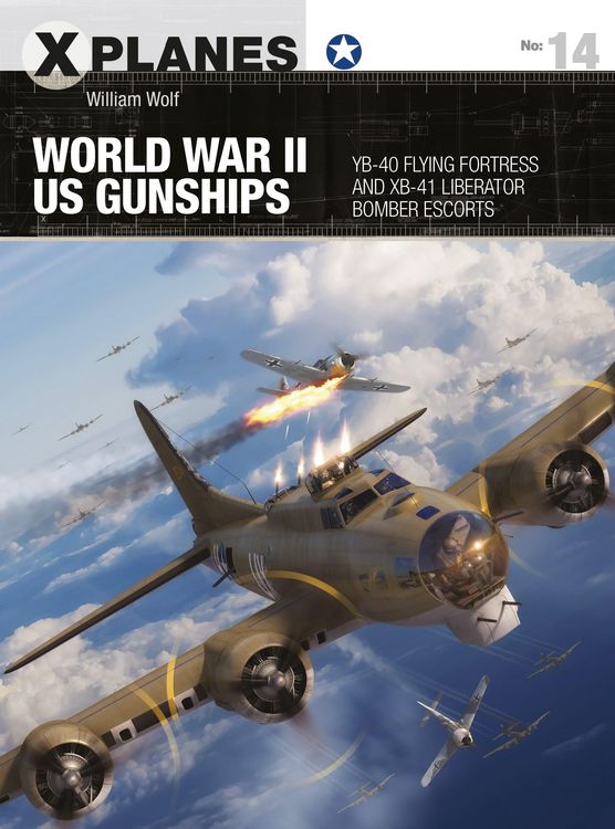 Produktbild: World War II US Gunships