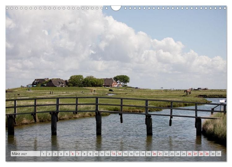 Produktbild: Wundersch&ouml;ne Hallig Hooge (Wandkalender 2027 DIN A3 quer), CALVENDO Monatskalender